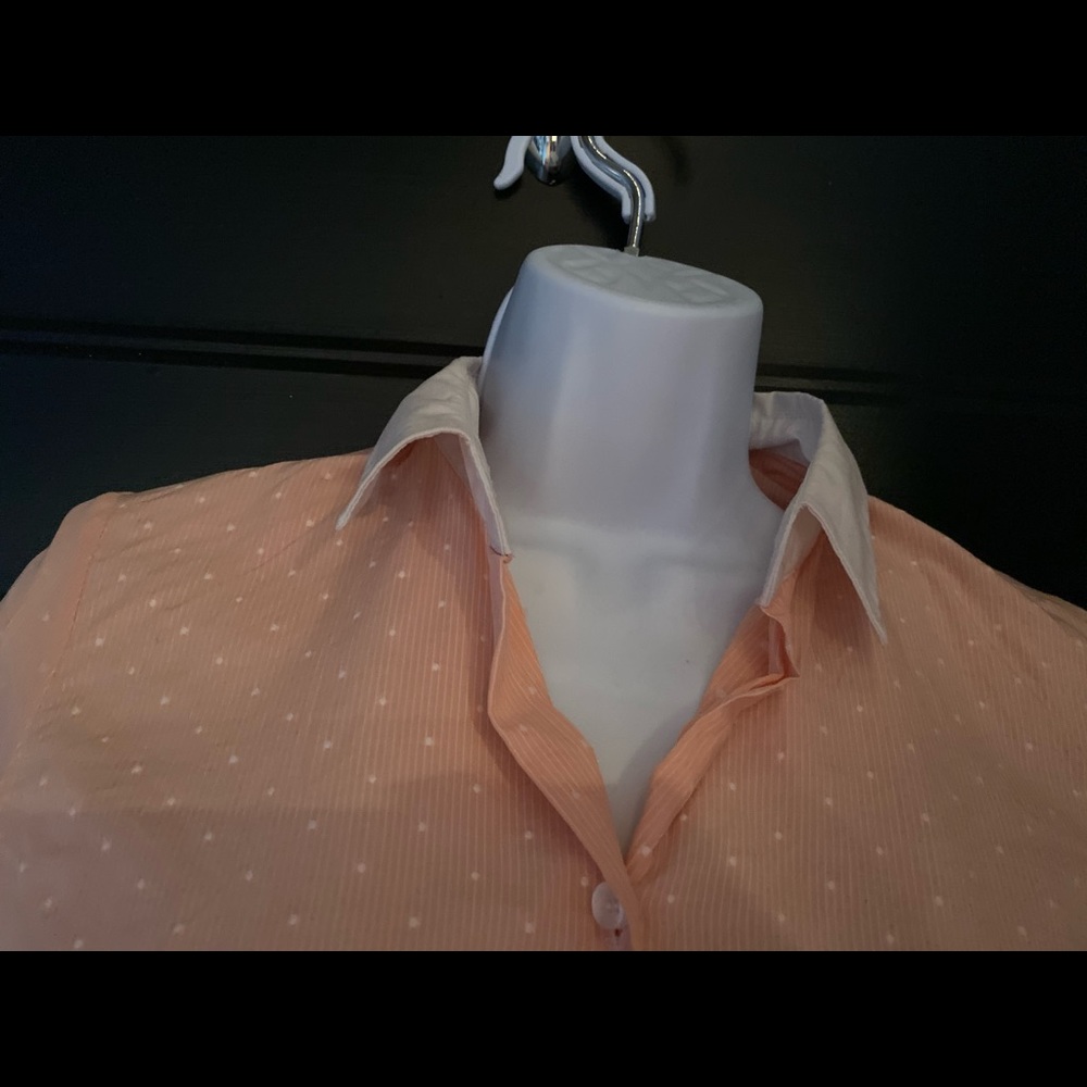 Button Down, Pink, Polka-Dot Button Down - image 2